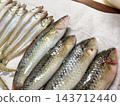 A catch featuring a variety of colorful fish, including wrasse and Japanese whiting. 143712440