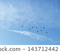 Silhouettes of wild birds flying in flocks across a blue sky with thin clouds. 143712442