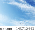 Silhouettes of wild birds flying in flocks across a blue sky with thin clouds. 143712443