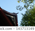 神社、樹木和藍天 143713149