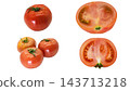 Tomato 4 Patterns Transparent Background Macro Photography Set 143713218