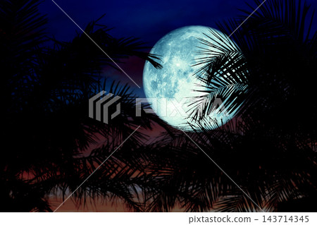 Full Worm blue Moon and silhouette tree on the roof and night sky 143714345