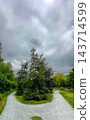 Pathway beside solitary pine forest under rainy sky with reflections 143714599