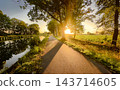 Path bathed in sunlight with stretching shadows and inviting atmosphere 143714605