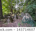 Aachen, North Rhine-Westphalia , Germany, August 23rd, 2025, Nature reclaims abandoned tank 143714607