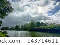 Tranquil wetland pathway with flowing streams and lush vegetation 143714611