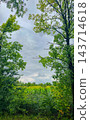Idyllic countryside scene featuring bright sunlight and tranquil atmosphere 143714618
