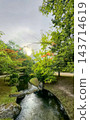 Serene outdoor environment with peaceful stream crossing lush vegetation 143714619