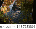 Landscape with autumn leaves 143715684