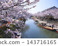 Boats floating on the river amidst cherry blossoms in full bloom: A boat trip down Yanagawa River 143716165