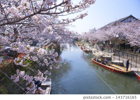 櫻花盛開,小船在河面上緩緩漂蕩:柳川遊船之旅 櫻花盛開,小船在河面上緩緩漂蕩:柳川遊船之旅 143716165