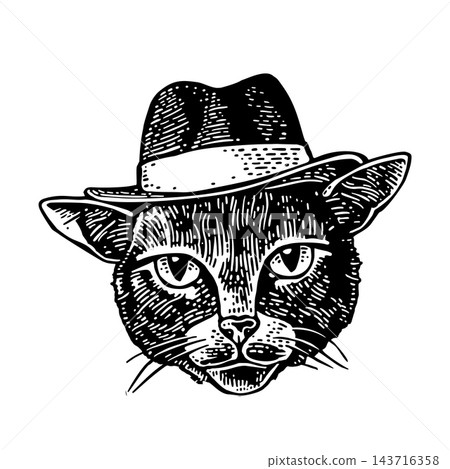 Cat gentleman dressed in a hat. Vintage black engraving illustration. Cat gentleman dressed in a hat. Vintage black engraving illustration. 143716358