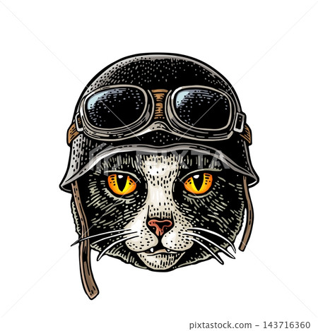 Cat dressed in the helmet and glasses. Vector vintage engraving 143716360