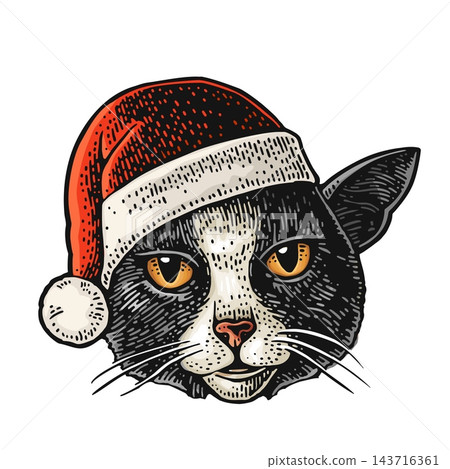 Cat head dressed Santa Claus hat. Vintage color engraving illustration. 143716361