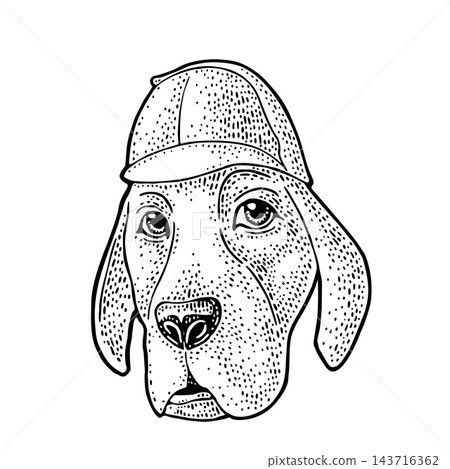 Detective hound dog head wearing Sherlock Holmes deerstalker hat engraving 143716362