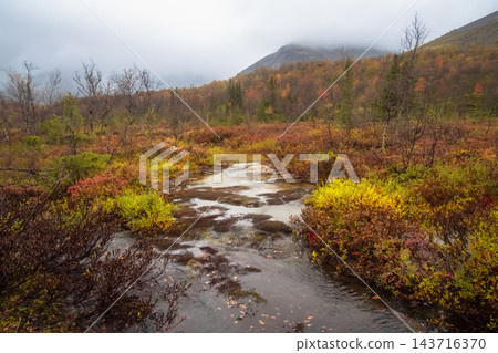 Scenic Horizontal Subarctic Landscape with Winding Creek and Colorful Autumn Tundra Scenic Horizontal Subarctic Landscape with Winding Creek and Colorful Autumn Tundra 143716370