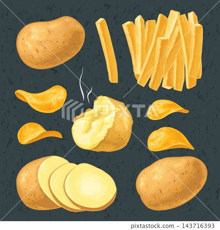 Potato whole and slice. French fry stick and chips. Vector realistic illustration Potato whole and slice. French fry stick and chips. Vector realistic illustration 143716393