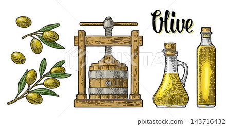 Set illustration olive oil making. Hand drawn engraving vector Set illustration olive oil making. Hand drawn engraving vector 143716432