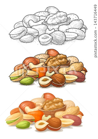 Vintage vector engraving nut set with hazelnut, peanut, almond, cashew, pistachio, walnut. 143716449