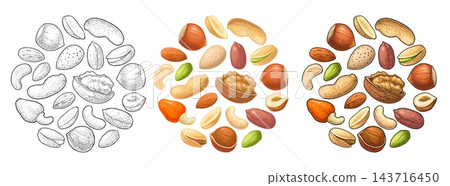 Vintage vector engraving circle set hazelnut, peanut, almond, cashew, pistachio, walnut. Vintage vector engraving circle set hazelnut, peanut, almond, cashew, pistachio, walnut. 143716450