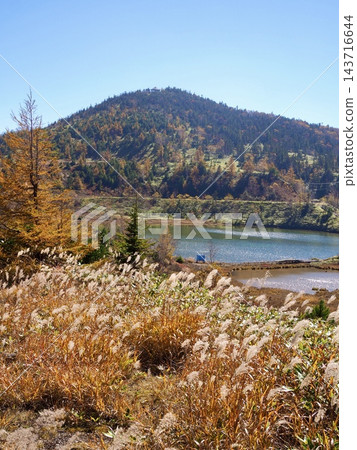 草津白根山上的湯美池,秋色染紅的山坡,以及擁有步道的高原景色。 草津白根山上的湯美池,秋色染紅的山坡,以及擁有步道的高原景色。 143716644