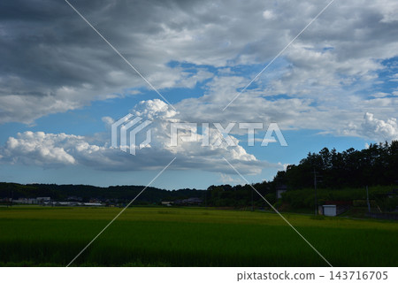 夏日鄉村景色，壯麗的積雨雲鋪滿藍天。 143716705