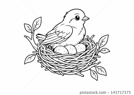 Mother Bird with Eggs in Nest Coloring Page Vector Illustration Mother Bird with Eggs in Nest Coloring Page Vector Illustration 143717375