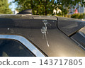 Bird Droppings on Car Roof Close-Up Showing Dirt, Stains and Paint Damage on Parked Vehicle 143717805