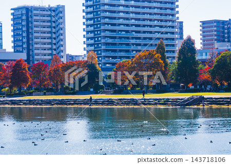 滋賀縣琵琶湖,美麗的秋景。 滋賀縣琵琶湖,美麗的秋景。 143718106