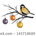 Hand drawn Christmas composition featuring a great tit, a snow covered tree branch, and Christmas ornaments. Watercolor illustration. 143718689