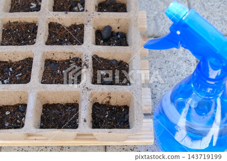 園藝準備:用噴壺將紙盆中的土壤潤濕。 園藝準備:用噴壺將紙盆中的土壤潤濕。 143719199