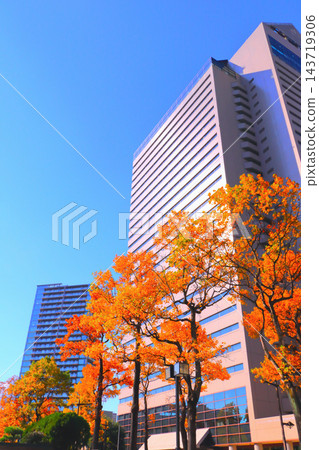 Vibrant autumn leaves color the area in front of the building Vibrant autumn leaves color the area in front of the building 143719306