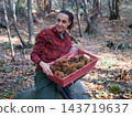 young woman foraging and picking chestnuts in an autumn forest. 143719637