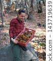 young woman foraging and picking chestnuts in an autumn forest. 143719639