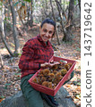 young woman foraging and picking chestnuts in an autumn forest. 143719642