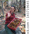 young woman foraging and picking chestnuts in an autumn forest. 143719645