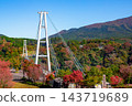 Kokonoe "Dream" Suspension Bridge and Autumn Leaves 143719689