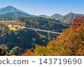 Kokonoe "Dream" Suspension Bridge and Autumn Leaves 143719690