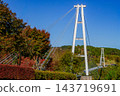 Kokonoe "Dream" Suspension Bridge and Autumn Leaves 143719691
