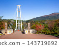 Kokonoe "Dream" Suspension Bridge and Autumn Leaves 143719692