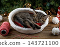 Christmas cat. Little funny kitten 143721100