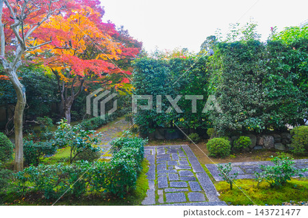 京都大德寺美麗庭園中的秋葉 京都大德寺美麗庭園中的秋葉 143721477