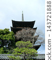冬日的東寺五重塔，湛藍的天空。 143721888