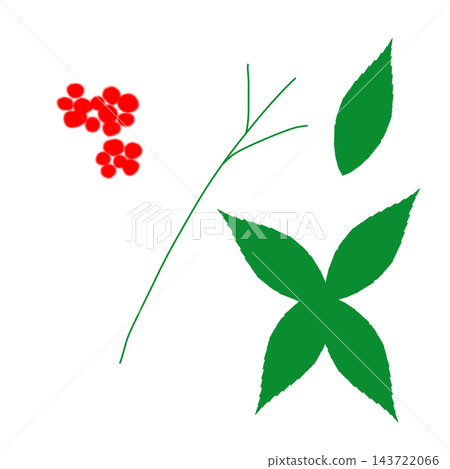 Hand-painted Ardisia crenata plant parts set (fruit, stem, and leaves, four leaves) Hand-painted Ardisia crenata plant parts set (fruit, stem, and leaves, four leaves) 143722066