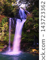 Jion Falls, nestled amidst the fresh greenery. 143723362