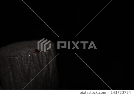 源氏螢火蟲 源氏螢火蟲 143723734