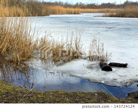 Frozen pond surrounded by dry grass Frozen pond surrounded by dry grass 143724124