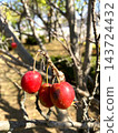 Ripe crabapple 143724432