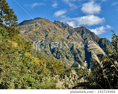 在秋高氣爽的日子裡,八戒山和覆蓋著蒲葦的登山小徑。 在秋高氣爽的日子裡,八戒山和覆蓋著蒲葦的登山小徑。 143724469
