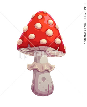 Cartoon Halloween fly agaric mushroom with bright red cap and white spots. Isolated vector toxic poisonous fungus plant for witch potions, iconic symbol of spooky folklore, eerie forests and shamanism Cartoon Halloween fly agaric mushroom with bright red cap and white spots. Isolated vector toxic poisonous fungus plant for witch potions, iconic symbol of spooky folklore, eerie forests and shamanism 143724940